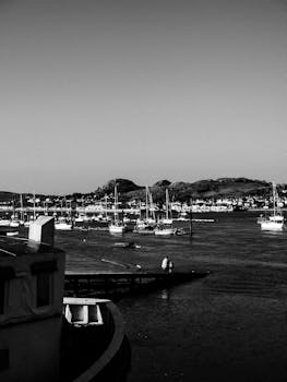 钨价跳涨催生业绩红利 多家上市公司提示风险 新闻