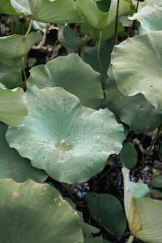 央行最新“连招”，稳汇率之外还有哪些潜在影响 新闻