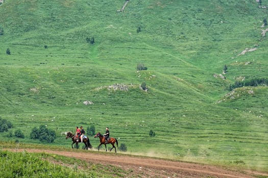 鹏都农牧（002505）股民索赔再获法院立案，新智认知（603869）索赔案已有胜诉 新闻