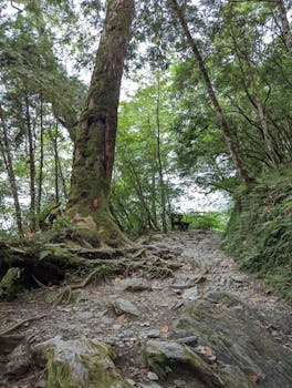  中越资本市场深度融合，华泰证券携手SSI证券共建研报桥梁。 股票财经 中越资本市场深度融合，华泰证券携手SSI证券共建研报桥梁。 股票财经