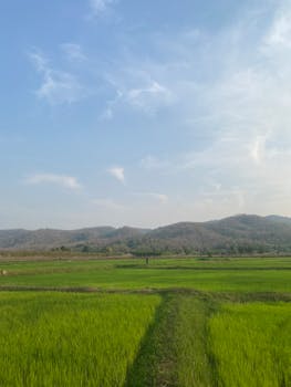  广东发布行动方案；完善全省政府性融资担保体系；助力金融五篇大文章深入推进。 股票财经 广东发布行动方案；完善全省政府性融资担保体系；助力金融五篇大文章深入推进。 股票财经