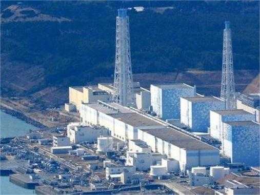  深海软体生物引发危机：格拉沃利讷核电站停运始末 新闻