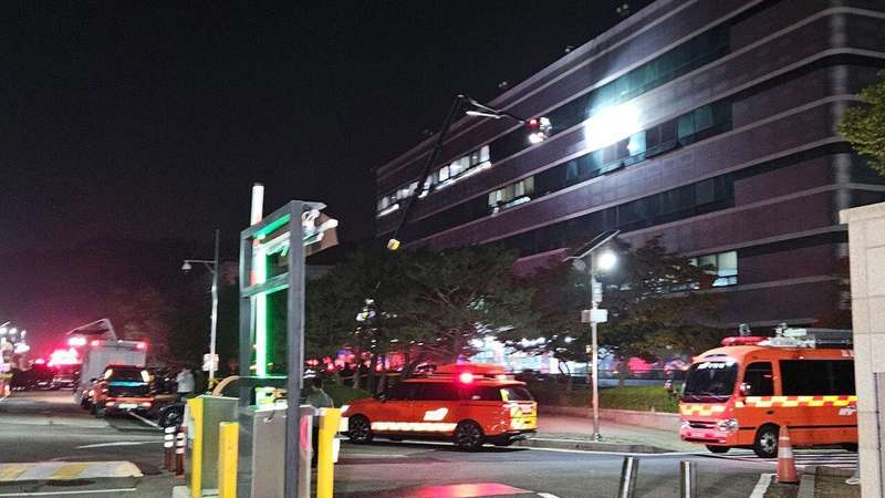  深海软体生物引发危机：格拉沃利讷核电站停运始末 新闻