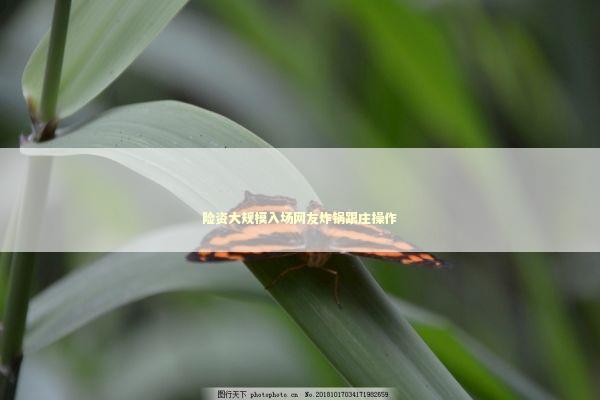 险资大规模入场网友炸锅跟庄操作 新闻