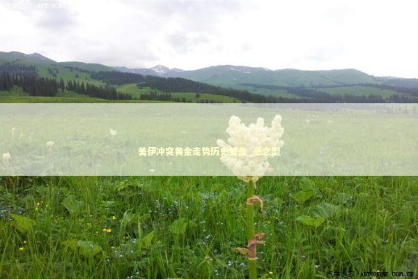 美伊冲突黄金走势历史复盘_悬念型 新闻