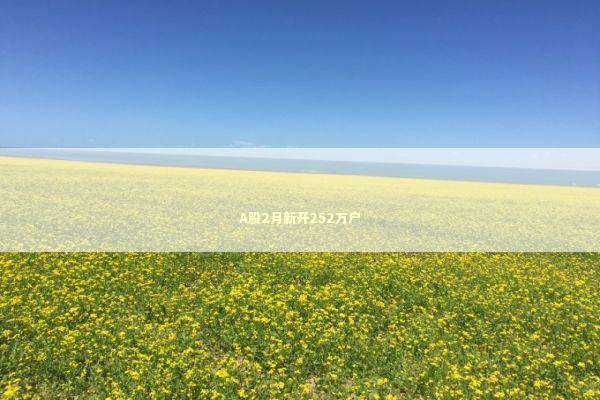 A股2月新开252万户 新闻