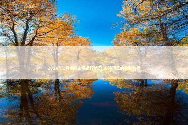 2026年1月金融市场运行情况-古诗词里的金融数据 新闻