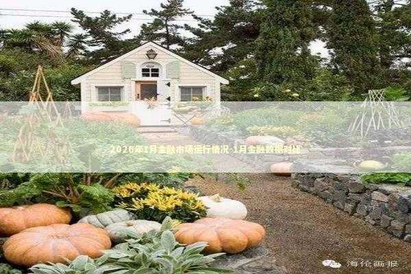 2026年1月金融市场运行情况-1月金融数据对比 新闻