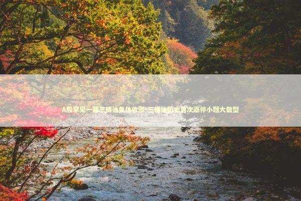 A股罕见一幕三桶油集体收涨-三桶油历史首次涨停小题大做型 新闻