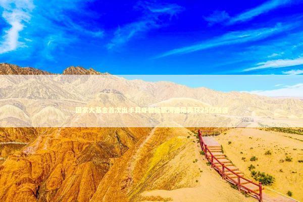 国家大基金首次出手具身智能银河通用再获25亿融资 新闻