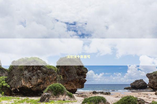 沃尔沃十年首亏 新闻