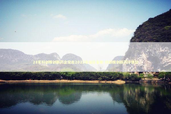 28家科创板创新药企交出2025年成长答卷-科创板创新药抒情型 新闻