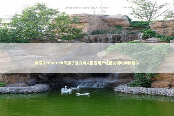 突发DeepSeek又崩了官方尚未回应用户吐槽关键时刻掉链子