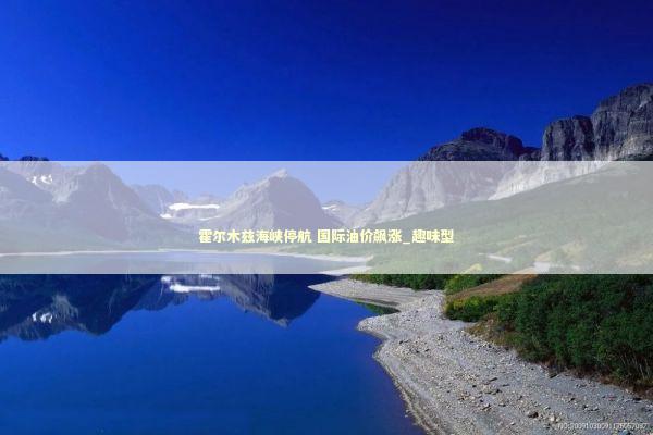 霍尔木兹海峡停航 国际油价飙涨_趣味型 新闻