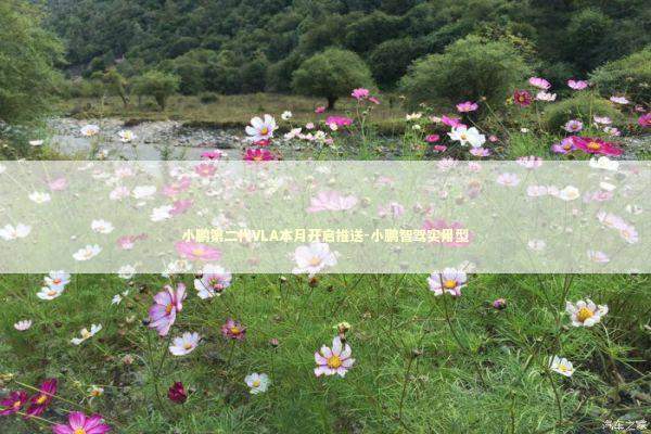 小鹏第二代VLA本月开启推送-小鹏智驾实用型 新闻