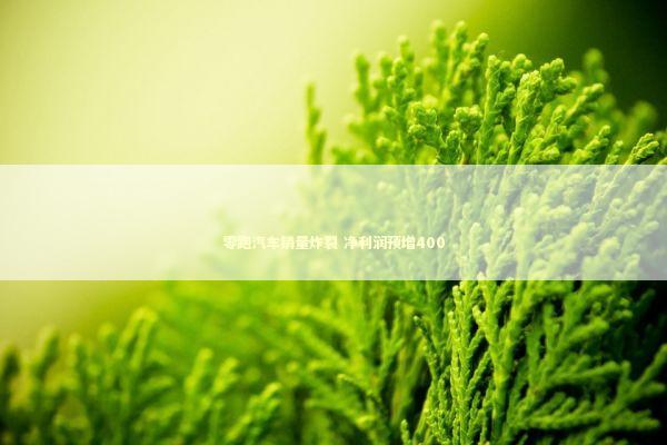 零跑汽车销量炸裂 净利润预增400 新闻