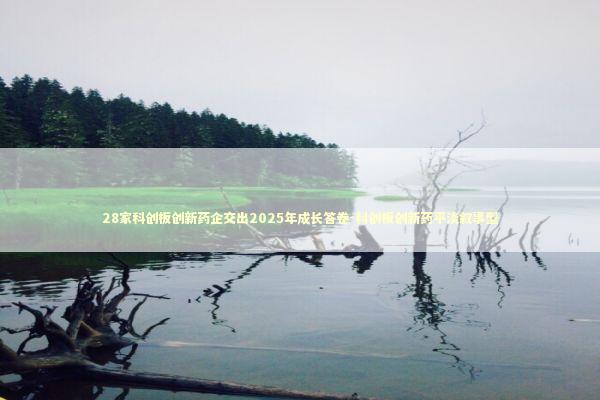 28家科创板创新药企交出2025年成长答卷-科创板创新药平淡叙事型