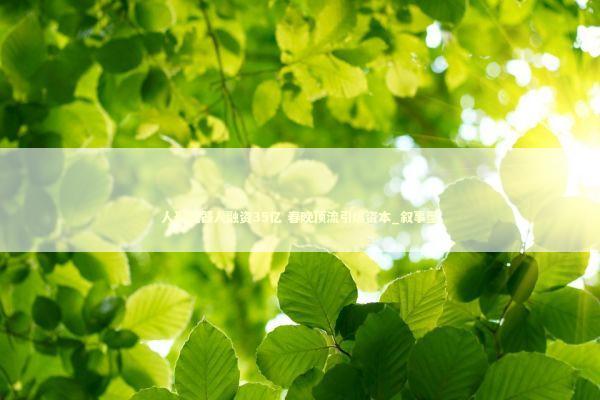 人形机器人融资35亿 春晚顶流引爆资本_叙事型 新闻