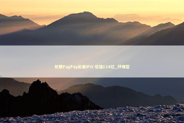软银PayPay赴美IPO 估值134亿_抒情型 新闻