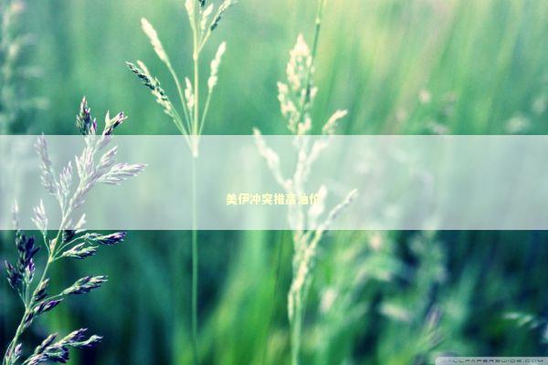 美伊冲突推高油价 新闻