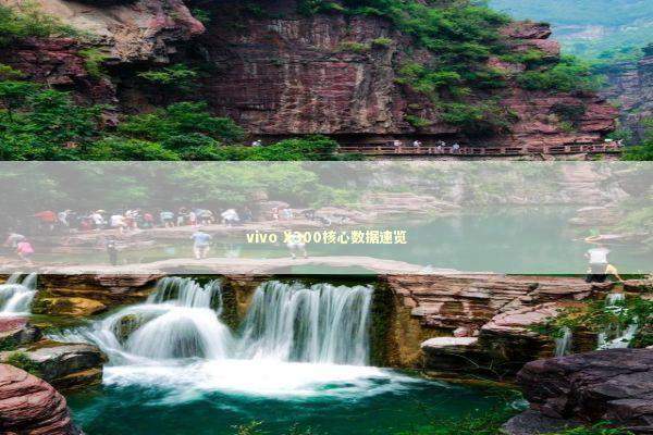 vivo X300核心数据速览 新闻