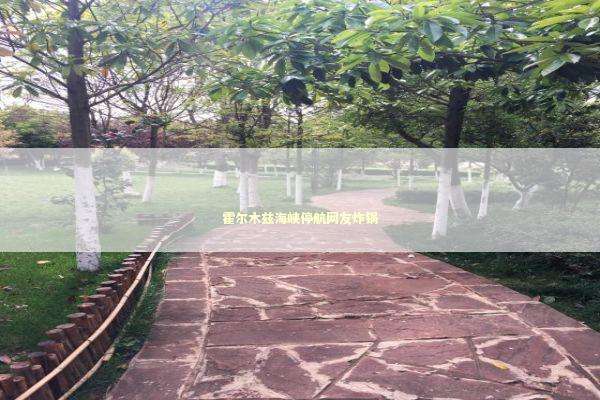 霍尔木兹海峡停航网友炸锅 新闻