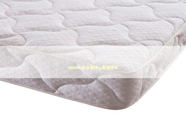 MiniMax年报核心数据速览 新闻