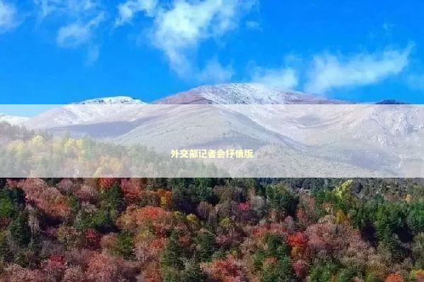 外交部记者会抒情版 新闻