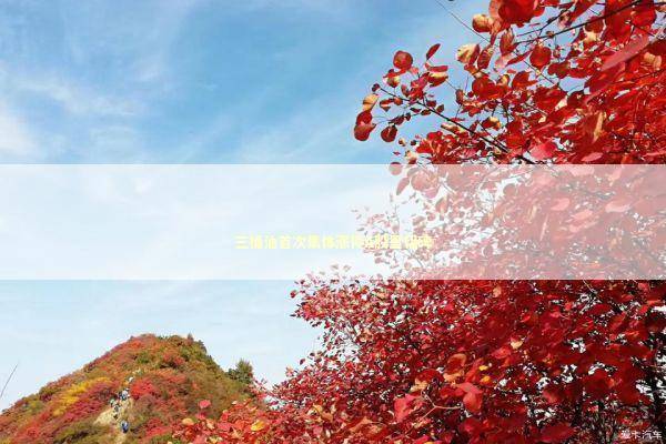 三桶油首次集体涨停A股里程碑 新闻