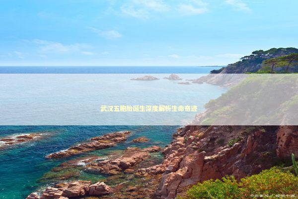 武汉五胞胎诞生深度解析生命奇迹 新闻