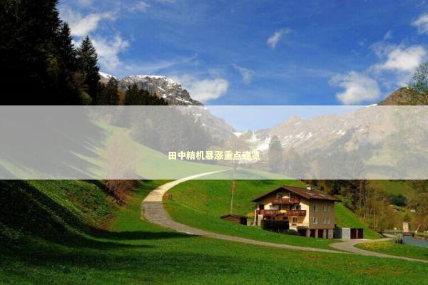 田中精机暴涨重点速览 新闻