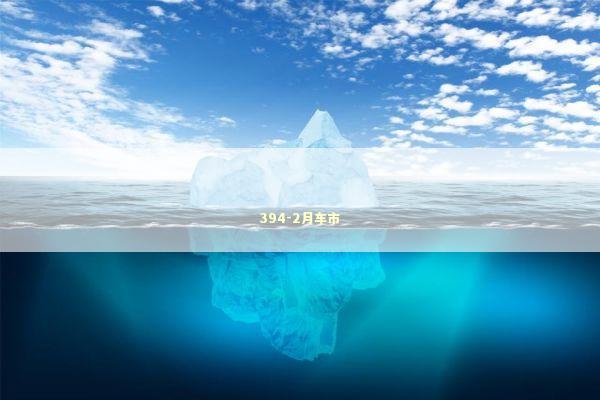 394-2月车市 新闻