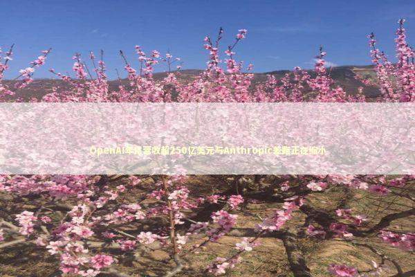 OpenAI年化营收超250亿美元与Anthropic差距正在缩小 新闻