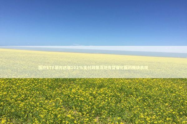 医疗ETF易方达涨102%支付政策落地有望催化医药板块表现 新闻