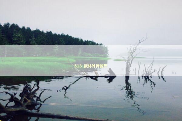 513-武林外传餐厅 新闻