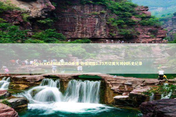 SpaceX计划递交IPO申请 估值或超1.75万亿美元将创历史纪录 新闻