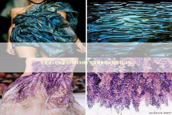 比亚迪2月销量达190190辆 海外销售同比劲增41.4% 新闻