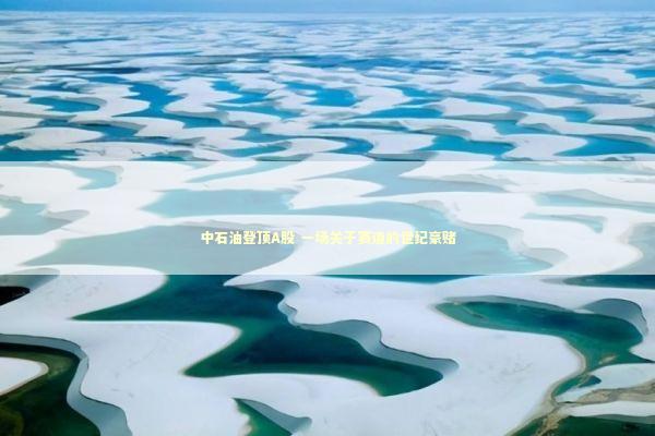 中石油登顶A股 一场关于赛道的世纪豪赌 新闻