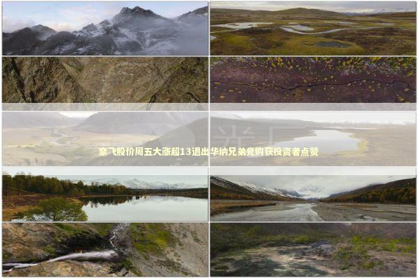 奈飞股价周五大涨超13退出华纳兄弟竞购获投资者点赞 新闻