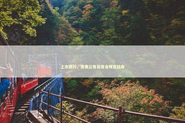 上市银行，密集公告首席合规官任命 新闻