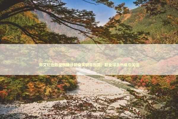 郭艾伦左膝受伤确诊前交叉韧带断裂：职业球员伤病引关注 新闻