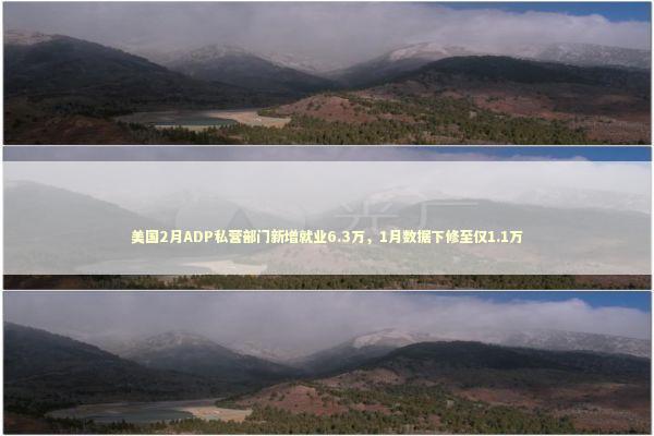 美国2月ADP私营部门新增就业6.3万，1月数据下修至仅1.1万 新闻