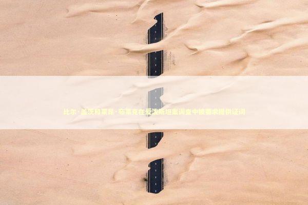 比尔·盖茨和莱昂·布莱克在爱泼斯坦案调查中被要求提供证词 新闻