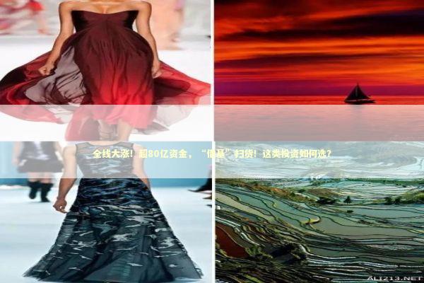 全线大涨！超80亿资金，“借基”扫货！这类投资如何选？ 新闻