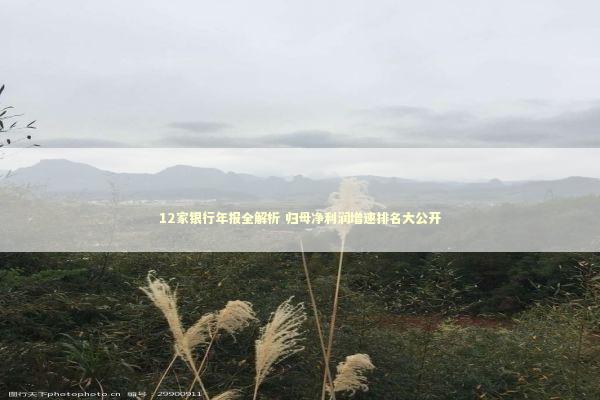 12家银行年报全解析 归母净利润增速排名大公开 新闻