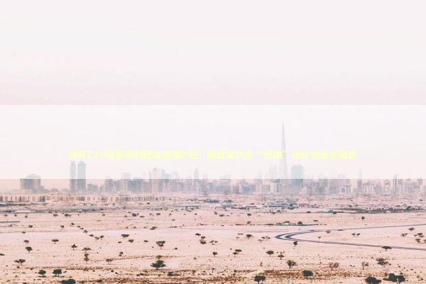 领克Z20语音误判致高速撞护栏！新能源汽车“炫酷”设计致安全隐患 新闻