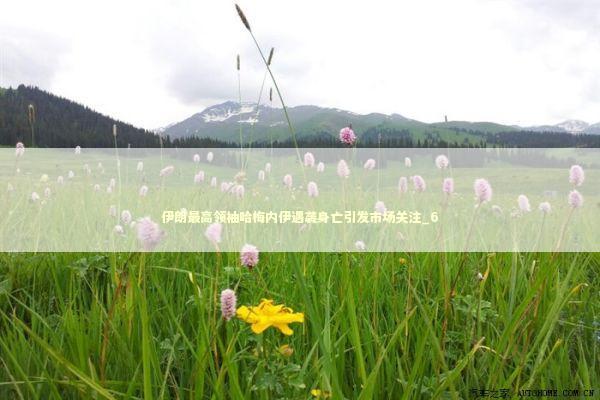 伊朗最高领袖哈梅内伊遇袭身亡引发市场关注_6 新闻