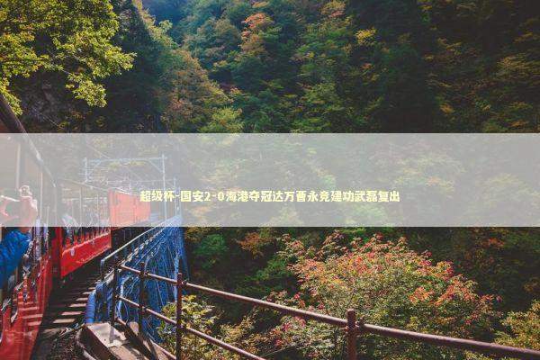 超级杯-国安2-0海港夺冠达万曹永竞建功武磊复出 新闻