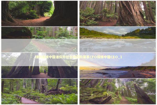 捷豹路虎中国潘庆升任全球采购董事CFO接棒中国CEO_1 新闻