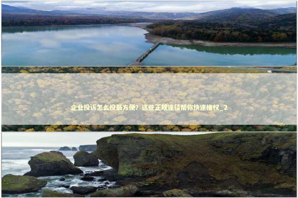 企业投诉怎么投最方便？这些正规途径帮你快速维权_2 新闻